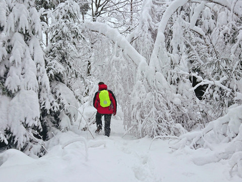 Verschneiter Wormsbergweg