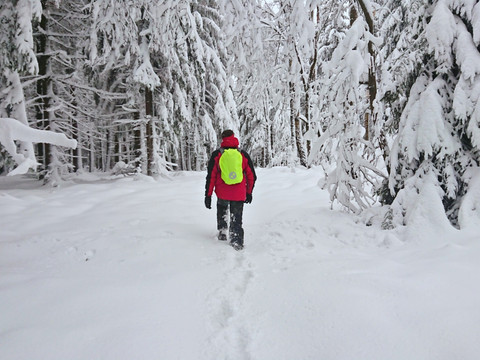 Zugeschneiter Grenzweg Richtung Tyssaer Wände