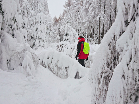 Verschneiter Grenzweg Richtung Tyssaer Wände