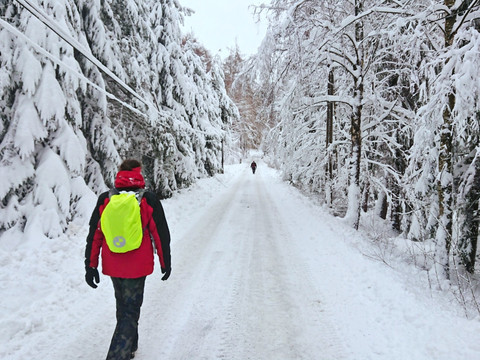 Straße aus Ostrov hinaus