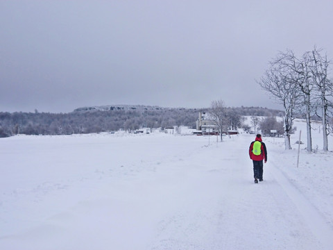 Auf dem Weg zum Hohen Schneeberg