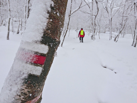 Aufsteig auf den Hohen Schneeberg
