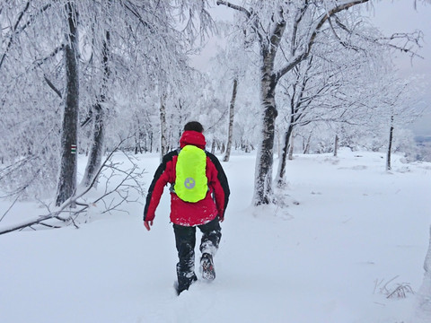Auf dem Hohen Schneeberg