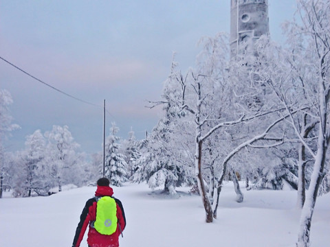 Auf dem Hohen Schneeberg