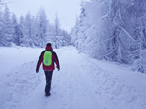 Abstieg über Straße vom Hohen Schneeberg
