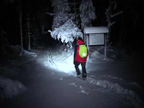 Eingang in Wald Richtung Rosenthal