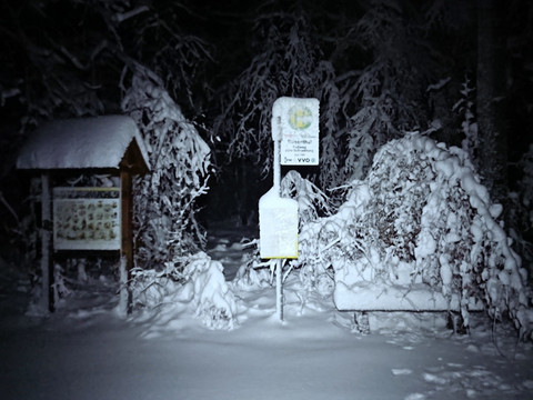 Haltestelle "Fußweg zum Schneeberg)