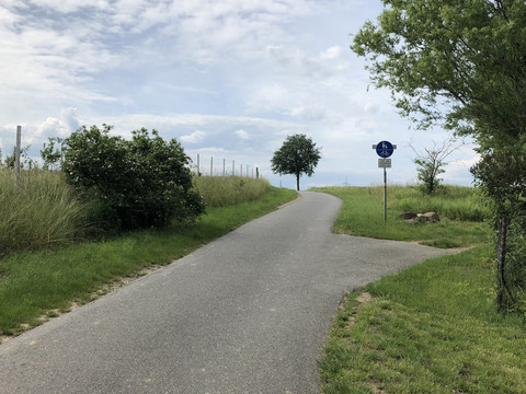 Bischofsweg von Stolpen nach Rennersdorf-Neudörfel