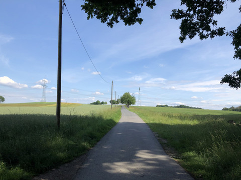 Radweg zwischen Buschmühle und Lauterbach