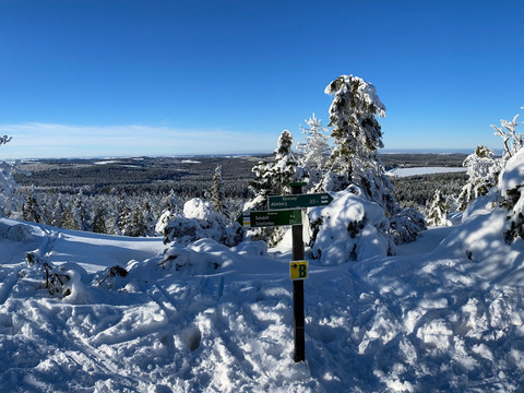 Kahleberg und die Galgenteiche im Winter