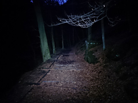 Abstieg ins Kirnitzschtal