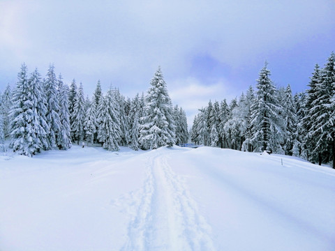 Winterwanderung rund um den Galgenteich