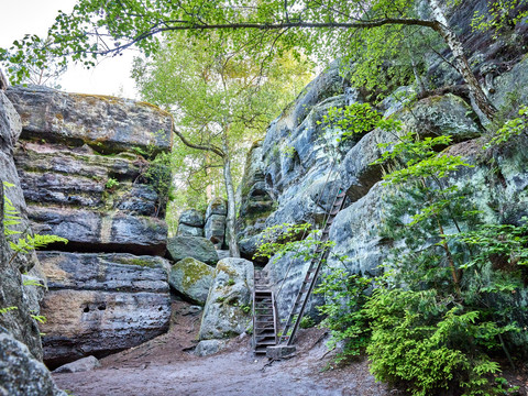Felsenlabyrinth Langenhennersdorf
