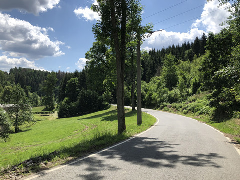 Weg von Saupsdorf nach Hinterhermsdorf