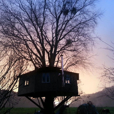 Baumhaus im Herbst