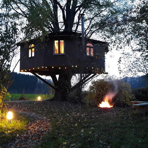 Baumhaus:Feuerstelle am Abend Baumhaus:Feuerstelle am Abend