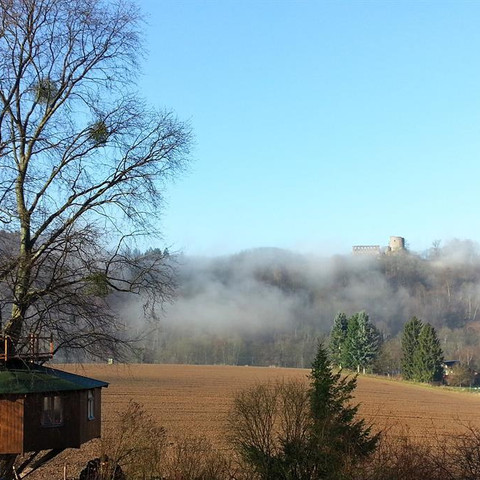 Baumhaus_eingebettet_in_Landschaft