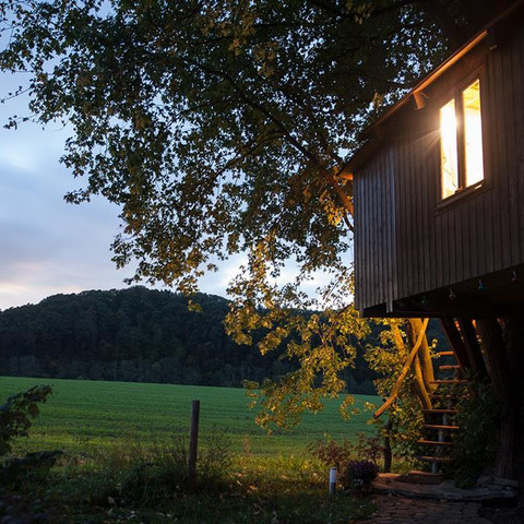 Baumhaus_Daemmerung