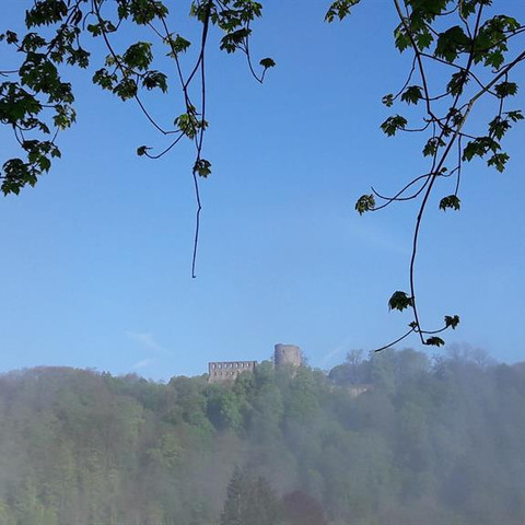 Burgblick vom Baumhaus
