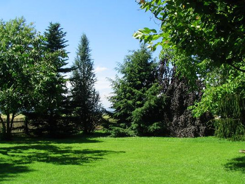 Ferienhaus Galle - Grundstück