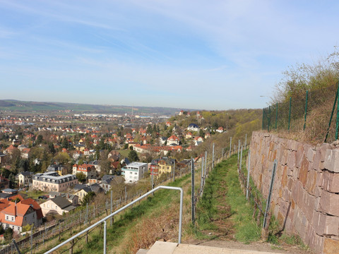 Blick von der Friedensburg in Radebeul