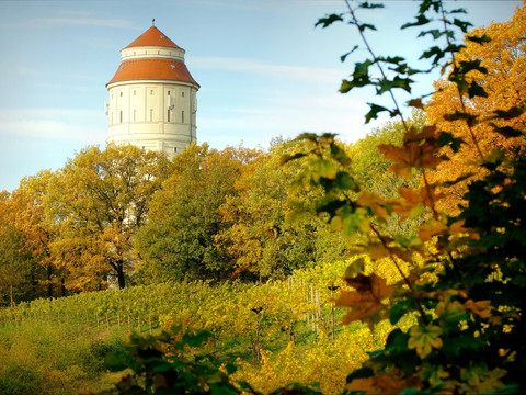 Wasserturm Radebeul im Herbst