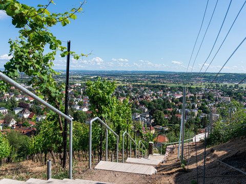 Blick auf Radebeul von der Friedensburg