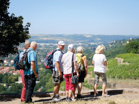 Weinwandern durch Radebeul