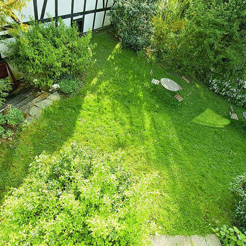 Blick in den Hotelgarten