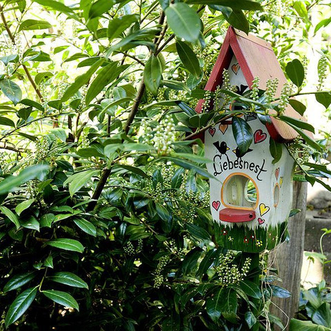 Für jeden ein Plätzchen