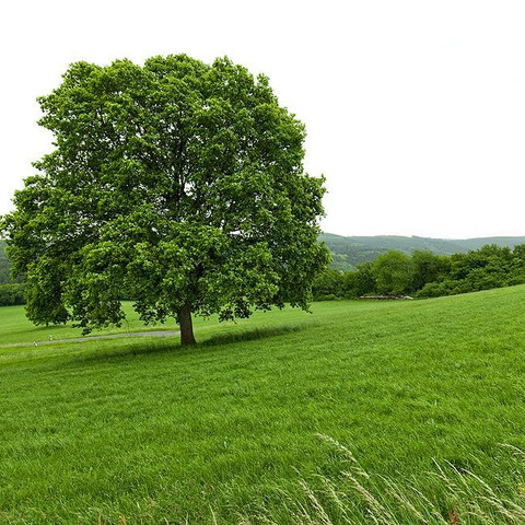 Aussicht von den Höhen bei Racksen
