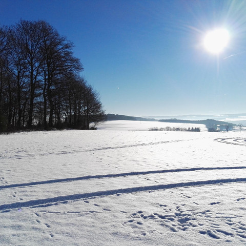 Winterlandschaft
