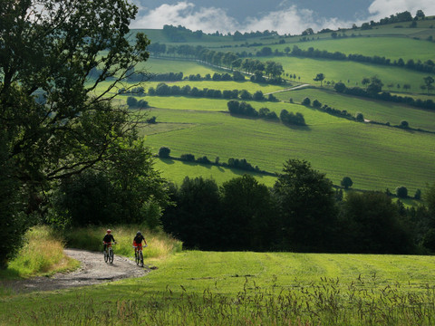 Mountainbiken im Erzgebirge
