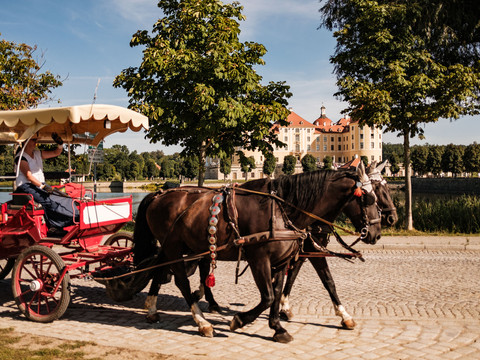 Kutsche vor dem Schloss Moritzburg