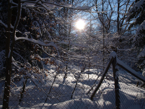 Winterstimmung