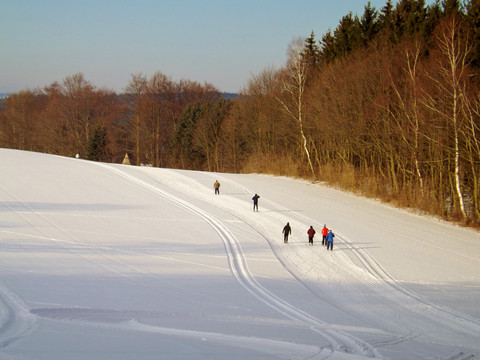 Die fast baumfreie Loipe in Olbernhau