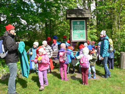 "Wichtel" am Anton Günther Stein