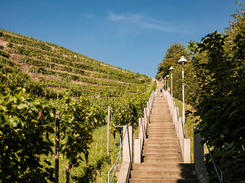Stufen der Spitzhaustreppe Radebeul
