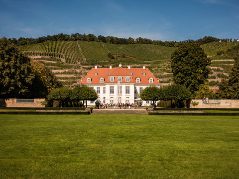 Schloss Wackerbarth