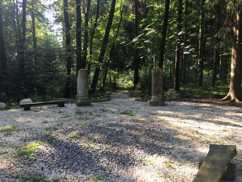 Wettinhain im Buchholzer Wald