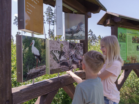 Moorerlebnispfad Pöllwitzer Wald