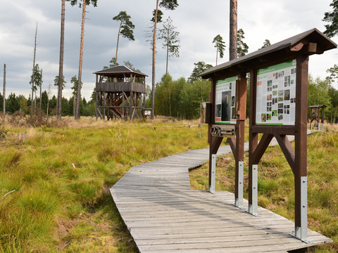 Schautafeln und Aussichtsturm am Moorerlebnispfad Pöllwitzer Wald