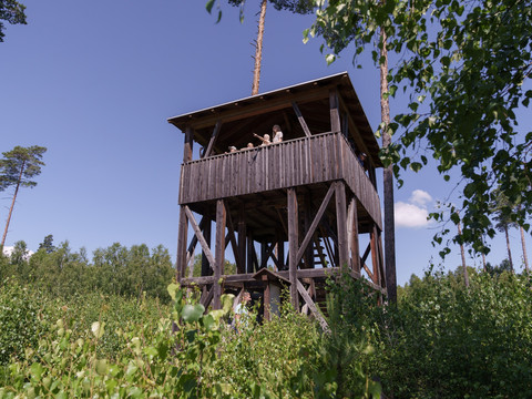 Moorerlebnispfad Pöllwitzer Wald