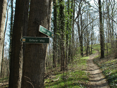 Rundwanderweg Gröditzer Skala - Oberer Weg