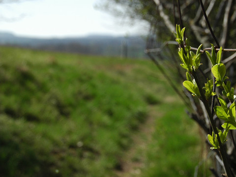 Rundwanderweg Gröditzer Skala - Frühlingserwachen