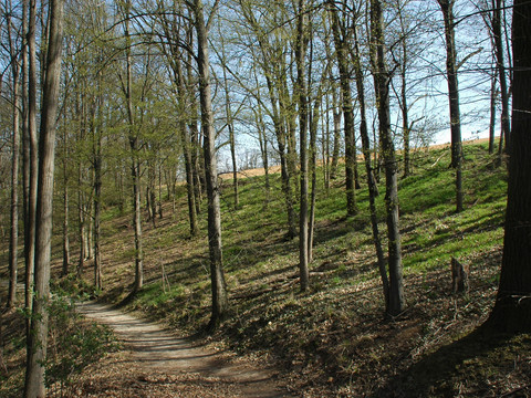 Rundwanderweg Gröditzer Skala