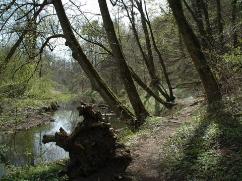 Rundwanderweg Gröditzer Skala