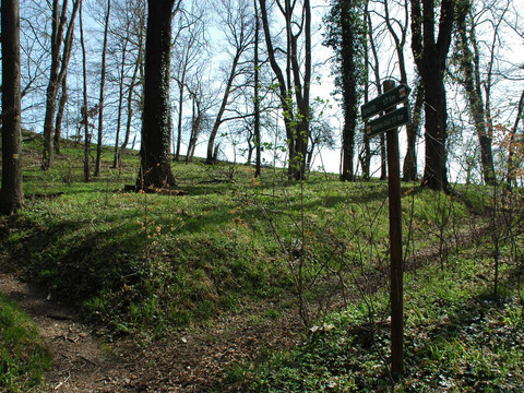 Rundwanderweg Gröditzer Skala