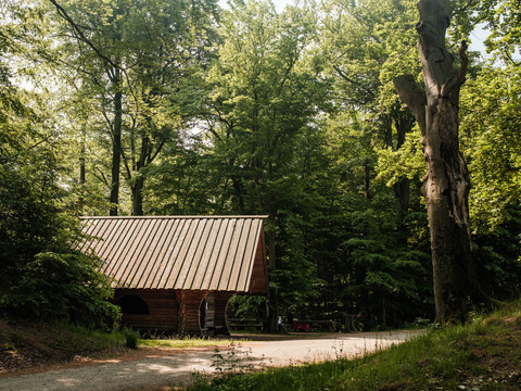 Rastplatz im Moritzburger Wald