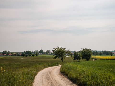 Typische Kleinkuppenlandschaft bei Bärwalde